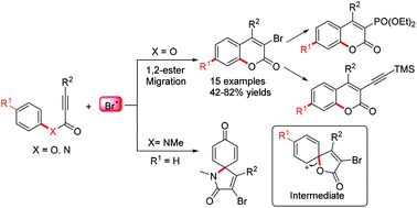 Graphical abstract: Tandem oxidative radical brominative addition of activated alkynes and spirocyclization: switchable synthesis of 3-bromocoumarins and 3-bromo spiro-[4,5] trienone