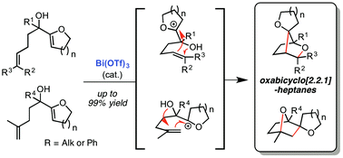 Graphical abstract: Bismuth(iii) triflate-catalysed tandem cyclisations towards complex polycyclic ethers