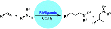 Graphical abstract: Recent progress in rhodium-catalyzed hydroaminomethylation