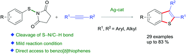 Graphical abstract: Silver-mediated oxidative annulation of N-arylthio succinimides with alkynes: direct access to benzo[b]thiophenes