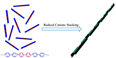 Graphical abstract: Supramolecular radical polymers self-assembled from the stacking of radical cations of rod-like viologen di- and trimers