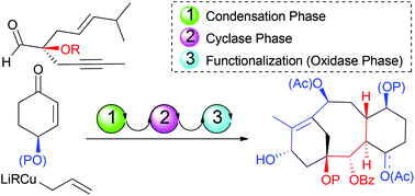 Graphical abstract: Towards taxane analogues synthesis by dienyne ring closing metathesis