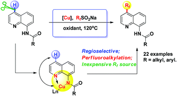 Graphical abstract: Copper-catalyzed 8-amido chelation-induced regioselective C–H fluoroalkylation of quinolines