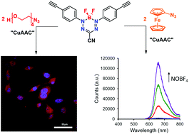 Graphical abstract: Copper-assisted azide–alkyne cycloaddition chemistry as a tool for the production of emissive boron difluoride 3-cyanoformazanates
