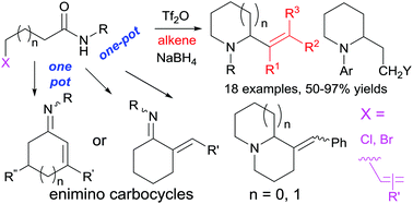 Graphical abstract: One-pot synthesis of N-heterocycles and enimino carbocycles by tandem dehydrative coupling–reductive cyclization of halo-sec-amides and dehydrative cyclization of olefinic sec-amides