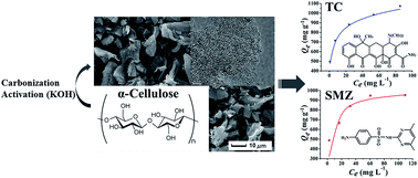 Graphical abstract: Preparation of highly porous carbon from sustainable α-cellulose for superior removal performance of tetracycline and sulfamethazine from water