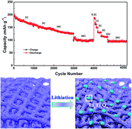 Graphical abstract: 3D interconnected hierarchically macro-mesoporous TiO2 networks optimized by biomolecular self-assembly for high performance lithium ion batteries