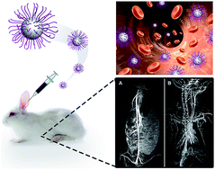 Graphical abstract: Ultra-large-scale production of ultrasmall superparamagnetic iron oxide nanoparticles for T1-weighted MRI