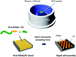 Graphical abstract: Ultra-rapid pattern formation of block copolymers with a high-χ parameter in immersion annealing induced by a homopolymer
