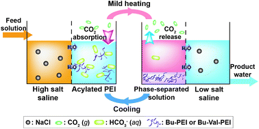 Graphical abstract: Control of osmotic pressure through CO2-capture and release facilitated by the lower critical solution temperature (LCST) phase transition of acylated branched polyethylenimine