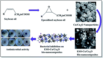 Graphical abstract: Epoxidised soybean oil–Cu/Cu2O bio-nanocomposite material: synthesis and characterization with antibacterial activity
