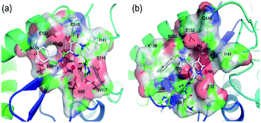 Graphical abstract: Structure–activity relationship and binding mode studies for a series of diketo-acids as HIV integrase inhibitors by 3D-QSAR, molecular docking and molecular dynamics simulations