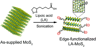 Graphical abstract: Preparation and characterization of a covalent edge-functionalized lipoic acid–MoS2 conjugate