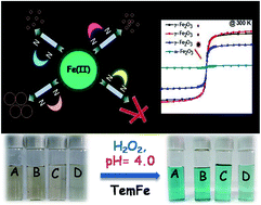 Graphical abstract: Soft template induced phase selective synthesis of Fe2O3 nanomagnets: one step towards peroxidase-mimic activity allowing colorimetric sensing of thioglycolic acid
