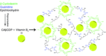 Graphical abstract: Water-soluble cationic poly(β-cyclodextrin-co-guanidine) as a controlled vitamin B2 delivery carrier