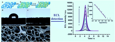 Graphical abstract: CdS-modified porous foam nickel for label-free highly efficient detection of cancer cells