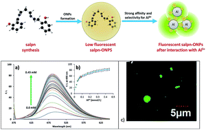 Graphical abstract: Fluorescent organic nanoparticles (FONs) for selective recognition of Al3+: application to bio-imaging for bacterial sample