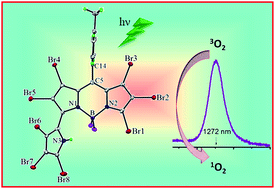 Graphical abstract: High singlet oxygen production and negative solvatochromism of octabrominated 3-pyrrolyl boron dipyrromethenes