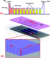 Graphical abstract: A robust and easily integrated plasma separation chip using gravitational sedimentation of blood cells filling-in high-aspect-ratio weir structure