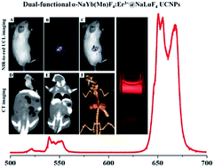 Graphical abstract: Dual-functional α-NaYb(Mn)F4:Er3+@NaLuF4 nanocrystals with highly enhanced red upconversion luminescence