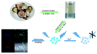 Graphical abstract: Facile and green synthesis of fluorescent carbon dots from onion waste and their potential applications as sensor and multicolour imaging agents
