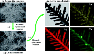 Graphical abstract: Simple electrochemical synthesis of an Au–Ag–Cu trimetallic nanodendrite and its use as a SERS substrate