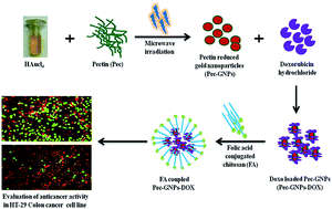 Graphical abstract: Green synthesis of folic acid-conjugated gold nanoparticles with pectin as reducing/stabilizing agent for cancer theranostics