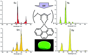 Graphical abstract: The conjugate base of methyl 3-oxobutanoate as an antenna ligand in visible-emitting photoluminescent lanthanide complexes