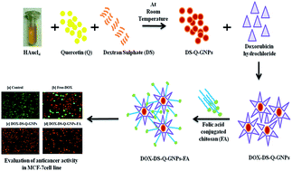 Graphical abstract: Facile synthesis and evaluation of quercetin reduced and dextran sulphate stabilized gold nanoparticles decorated with folic acid for active targeting against breast cancer