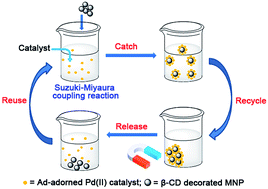Graphical abstract: A catch–release catalysis system based on supramolecular host–guest interactions