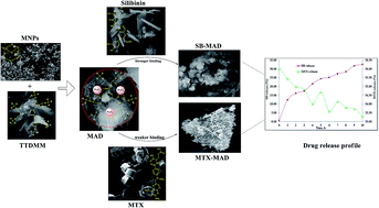 Graphical abstract: Preparation and characterization of magnetic nanoparticles and their impact on anticancer drug binding and release processes moderated through a 1st tier dendrimer