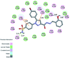 Graphical abstract: Design, synthesis and evaluation of benzenesulfonamide-substituted 1,5-diarylpyrazoles containing phenylacetohydrazide derivatives as COX-1/COX-2 agents against solid tumors