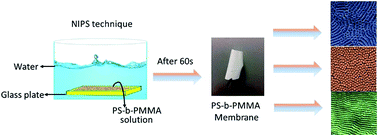 Graphical abstract: Nanostructured double hydrophobic poly(styrene-b-methyl methacrylate) block copolymer membrane manufactured via a phase inversion technique