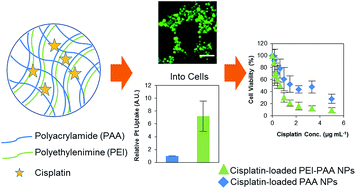 Graphical abstract: Polyethylenimine incorporation into hydrogel nanomatrices for enhancing nanoparticle-assisted chemotherapy