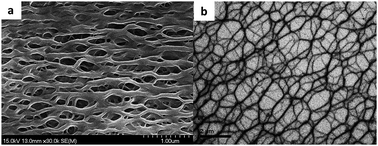 Graphical abstract: High transparency and toughness PMMA nanocomposites toughened by self-assembled 3D loofah-like gel networks: fabrication, mechanism, and insight into the in situ polymerization process