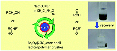 Graphical abstract: Superparamagnetic core–shell radical polymer brush as efficient catalyst for oxidation of alcohols to aldehydes and ketones