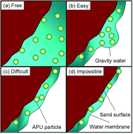 Graphical abstract: Migration behavior of anionic polyurethane dispersion during infiltration and redistribution in sand