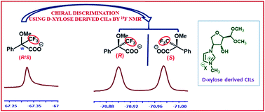Graphical abstract: A remarkable chiral recognition of racemic Mosher's acid salt by naturally derived chiral ionic liquids using 19F NMR spectroscopy