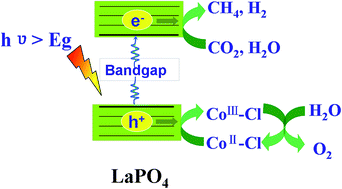 Graphical abstract: Enhanced photocatalytic CO2 conversion over LaPO4 by introduction of CoCl2 as a hole mediator