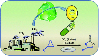 Graphical abstract: CO2 fixation at atmospheric pressure: porous ZnSnO3 nanocrystals as a highly efficient catalyst for the synthesis of cyclic carbonates