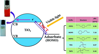 Graphical abstract: Zwitterionic buffer-induced visible light excitation of TiO2 for efficient pollutant photodegradation