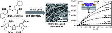 Graphical abstract: Semiconducting polymer–dipeptide nanostructures by ultrasonically-assisted self-assembling