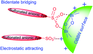 Graphical abstract: Rapid and high-capacity adsorption of sulfonated anionic dyes onto basic bismuth(iii) nitrate via bidentate bridging and electrostatic attracting interactions