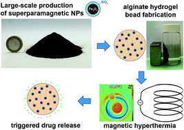Graphical abstract: Highly scalable production of uniformly-coated superparamagnetic nanoparticles for triggered drug release from alginate hydrogels