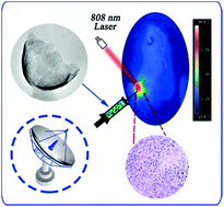 Graphical abstract: Radar-like MoS2 nanoparticles as a highly efficient 808 nm laser-induced photothermal agent for cancer therapy
