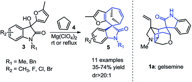 Graphical abstract: Mg(ClO4)2-promoted [4 + 3] cycloaddition of oxindole derivatives with conjugated dienes: concise synthesis of spirocycloheptane oxindole derivatives