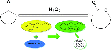 Graphical abstract: Exceptional activity of gallium(iii) chloride and chlorogallate(iii) ionic liquids for Baeyer–Villiger oxidation