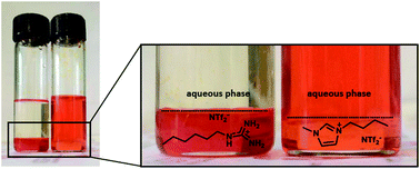 Graphical abstract: Alkylguanidinium based ionic liquids in a screening study for the removal of anionic pollutants from aqueous solution