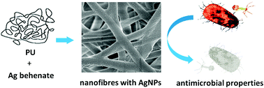 Graphical abstract: Characterisation of morphological, antimicrobial and leaching properties of in situ prepared polyurethane nanofibres doped with silver behenate