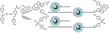 Graphical abstract: Synthesis and characterization of β-lactam functionalized superparamagnetic Fe3O4@SiO2 nanoparticles as an approach for improvement of antibacterial activity of β-lactams